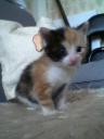Shiyanpu Babyfoto 002