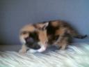 Shiyanpu Babyfoto 004