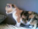 Shiyanpu Babyfoto 003