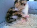 Shiyanpu Babyfoto 005