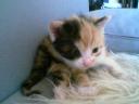 Shiyanpu Babyfoto 006