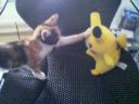 Pokemon 1