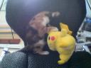 Pokemon 2
