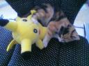 Pokemon 3
