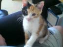 Shiyanpu Babyfoto 009